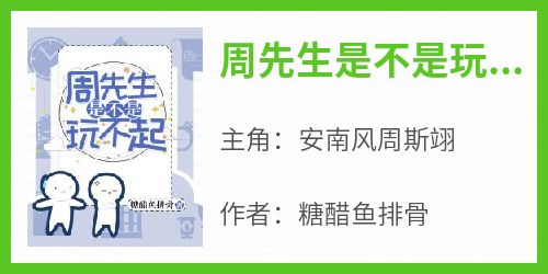 周先生是不是玩不起(新书)小说_安南风周斯翊阅读