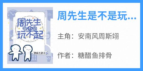 安南风周斯翊小说《周先生是不是玩不起》免费阅读