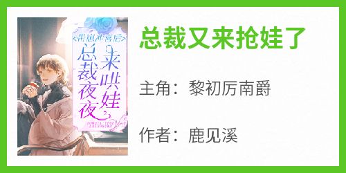 总裁又来抢娃了小说主角是黎初厉南爵全文完整版阅读