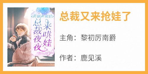 【新书】《总裁又来抢娃了》主角黎初厉南爵全文全章节小说阅读