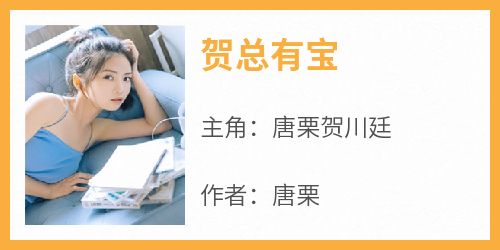 抖音爆款小说《贺总有宝唐栗贺川廷》免费txt全文阅读