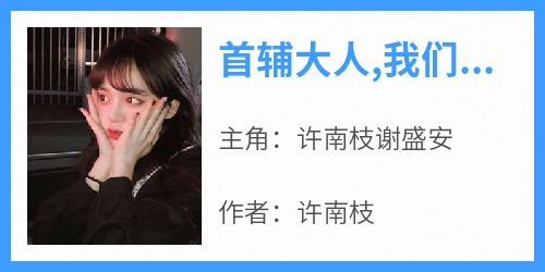 首辅大人,我们和离吧许南枝谢盛安小说全文章节阅读