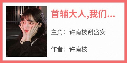 (热推新书)《首辅大人,我们和离吧》许南枝谢盛安无弹窗阅读