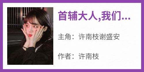 许南枝谢盛安全集小说_首辅大人,我们和离吧完结版阅读