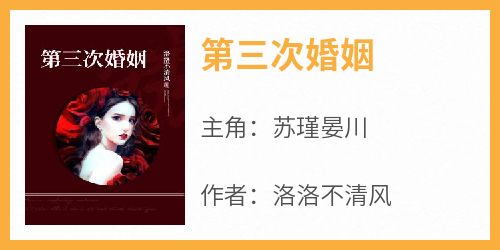 洛洛不清风最新小说《第三次婚姻》苏瑾晏川在线试读