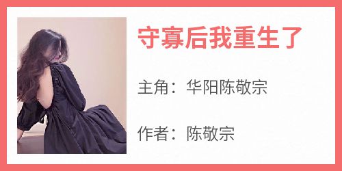 百度贴吧小说守寡后我重生了，主角华阳陈敬宗全文免费