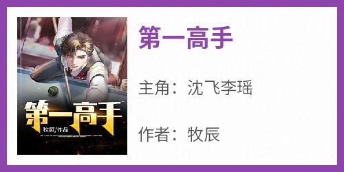 新书推荐《第一高手》完整版小说-沈飞李瑶最新章节阅读