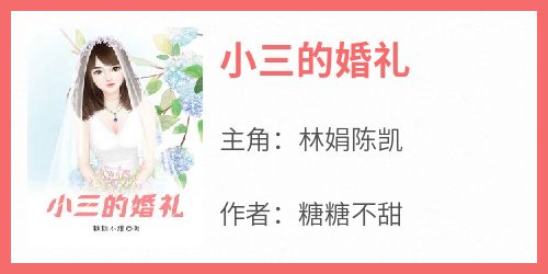 强烈推荐《小三的婚礼》林娟陈凯在线阅读