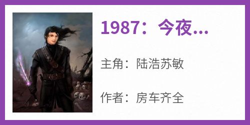 1987：今夜不眠小说在线阅读，主角陆浩苏敏精彩段落最新篇