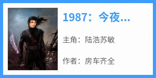 1987：今夜不眠全集小说_陆浩苏敏完结版阅读