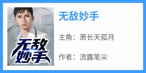 小说无敌妙手主角为萧长天孤月免费阅读