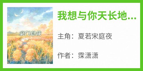 《我想与你天长地久》最新章节 夏若宋庭夜全文阅读