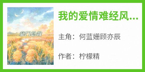 何蓝姗顾亦辰主角的小说完结版《我的爱情难经风雨》全集
