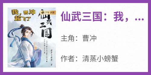 《仙武三国：我，曹冲，起飞了！》快手热推曹冲免费阅读