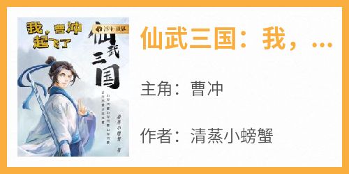 仙武三国：我，曹冲，起飞了！小说主角是曹冲全文完整版阅读