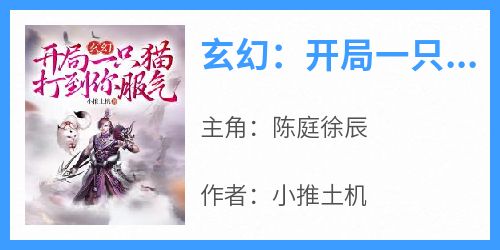 《玄幻：开局一只猫，打到你服气！》小说陈庭徐辰免费阅读