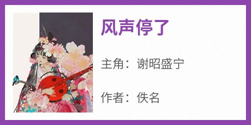 抖音完结《风声停了》谢昭盛宁(全文在线阅读)