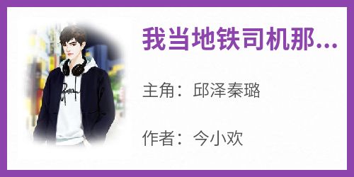 我当地铁司机那些年抖音全本小说邱泽秦璐抖音免费章节阅读