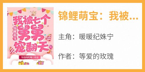 锦鲤萌宝：我被七个舅舅宠翻天大结局阅读 暖暖纪姝宁小说在线章节