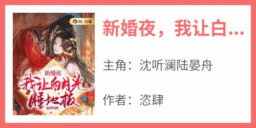 沈听澜陆晏舟是哪部小说的主角 《新婚夜，我让白月光睡地板》全文无弹窗