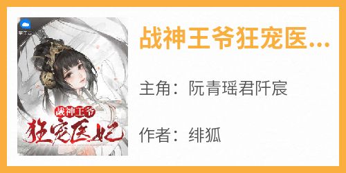 《战神王爷狂宠医妃》阮青瑶君阡宸小说完整在线阅读