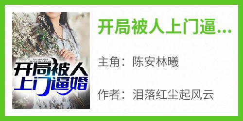 抖音小说《开局被人上门逼婚》陈安林曦全文txt