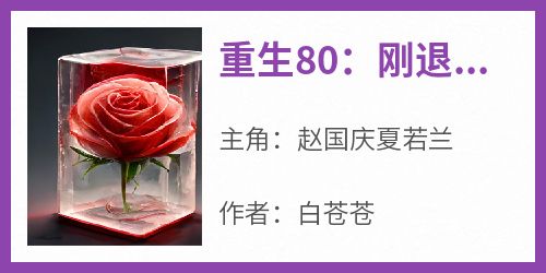 小说重生80：刚退婚就被女大学生盯上了主角为赵国庆夏若兰免费阅读
