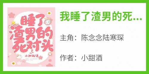 主角陈念念陆寒琛小说，我睡了渣男的死对头免费阅读全文