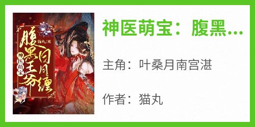 神医萌宝：腹黑王爷日日缠全本小说（神医萌宝：腹黑王爷日日缠）全文阅读