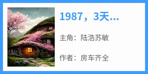 1987，3天成万元户全集小说_陆浩苏敏完结版阅读