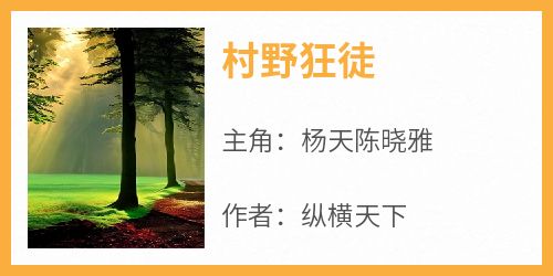 新书推荐《村野狂徒》完整版小说-杨天陈晓雅最新章节阅读