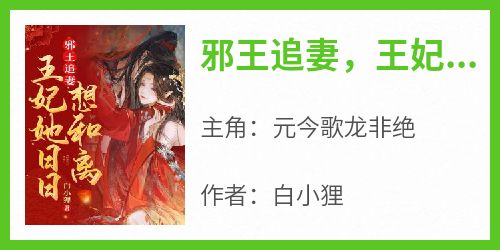 《邪王追妻，王妃她日日想和离》by白小狸小说完结版在线阅读