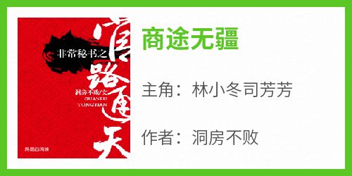 抖音小说《商途无疆》林小冬司芳芳全文txt