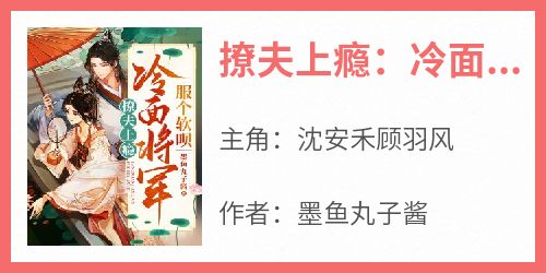 撩夫上瘾：冷面将军，服个软呗沈安禾顾羽风小说全文章节阅读