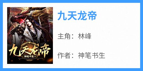 《九天龙帝》林峰小说完整在线阅读