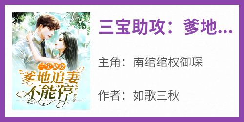 《三宝助攻：爹地追妻不能停》完整版-南绾绾权御琛在线全文阅读