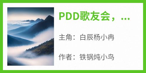 抖音爆款小说《PDD歌友会，致郁千万水友白辰杨小冉》免费txt全文阅读