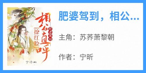 肥婆驾到，相公直呼撩红脸在线阅读 苏荞萧黎朝免费小说精彩章节