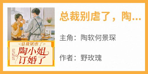 抖音爆款总裁别虐了，陶小姐订婚了小说免费阅读