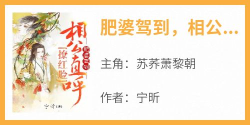 《肥婆驾到，相公直呼撩红脸》苏荞萧黎朝无广告在线阅读