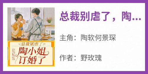 总裁别虐了，陶小姐订婚了精彩小说-总裁别虐了，陶小姐订婚了目录阅读