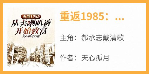 高质量小说重返1985：从卖喇叭裤开始致富在线试读