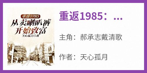 重返1985：从卖喇叭裤开始致富(天心孤月)最佳创作小说全文在线阅读