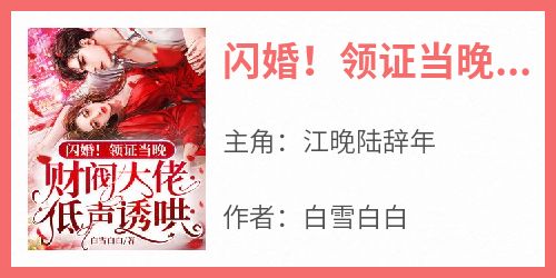 《闪婚！领证当晚，财阀大佬低声诱哄》无广告阅读 江晚陆辞年免费在线阅读