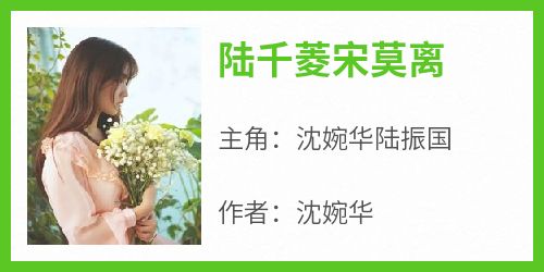 沈婉华陆振国《陆千菱宋莫离》完结版小说全文免费阅读