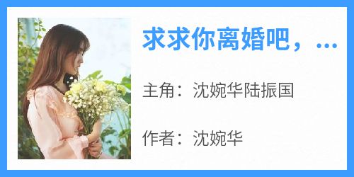 《求求你离婚吧，放了我好吗》沈婉华陆振国-小说txt全文阅读