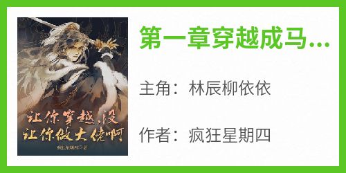 林辰柳依依全本小说 《第一章穿越成马仔》全文免费在线阅读