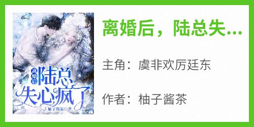 抖音小说《离婚后，陆总失心疯了》主角虞非欢厉廷东全文小说免费阅读