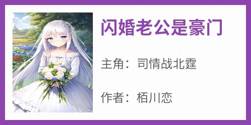 私藏读物《闪婚老公是豪门》司情战北霆完结版免费阅读