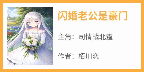 热门小说《闪婚老公是豪门》完整版全文阅读